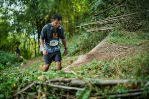 BIB: 
                            <button type="button" onclick="openModal(19431081)" class="btn btn-primary btn-sm float-right btn-popup" data-toggle="modal" data-target=".modal-high-quality">
                        <i class="fas fa-shopping-cart"></i> Add to Cart
                    </button>
                                            <button type="button" onclick="isThisMe(19431081, true)" class="btn btn-success btn-sm float-right btn-popup btn-isme hidden" data-toggle="tooltip" data-placement="bottom" title="นี่คือรูปของคุณใช่ไหม คลิกที่นี่เพื่อเอาเข้าอัลบั้ม">
                        <i class="fas fa-plus"></i> Add to album
                    </button>
                    <button type="button" onclick="isThisMe(19431081, false)" class="btn btn-warning btn-sm float-right btn-popup btn-isnotme hidden">
                        <i class="fas fa-ban"></i> Remove from album
                    </button>